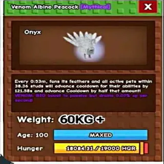 60KG+ ALBINO PEACOCK