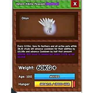 60KG+ ALBINO PEACOCK