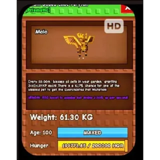 GLIDED CHOC PERYTON 61KG+