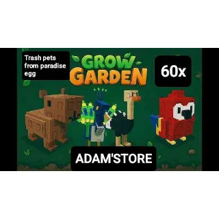 60X TRASH PETS FROM PARADISE EGG 🥚