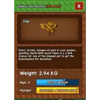 GLIDED CHOC PERYTON 60-61KG