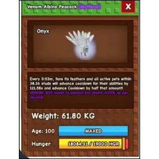 Albino Peacock ( 61Kg+ )