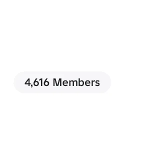 100 Roblox group members
