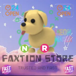 4x NR Dog