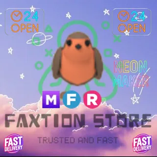 MFR Robin
