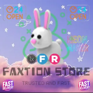 4x Bunny 1F/R