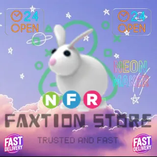 NFR Rabbit