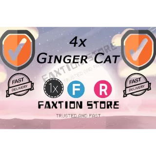 Pet | 4x Ginger Cat