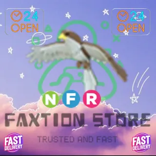 NFR Hawk