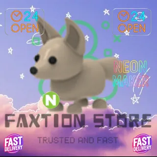 N Fennec Fox