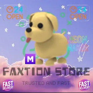 M Dog
