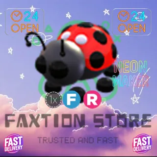 4x LadyBug 1FR