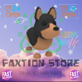 4x Australian Kelpie