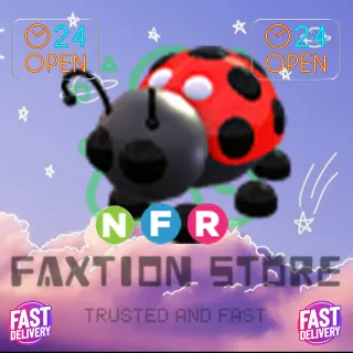 NFR LadyBug