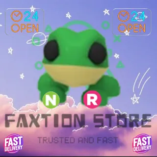 NR Frog