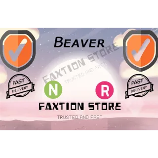 Pet | NR Beaver