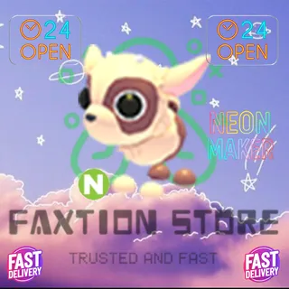 N Kid Goat