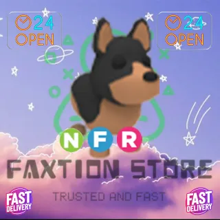 NFR Australian Kelpie