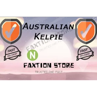 Pet | N Australian Kelpie