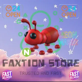 N Ant