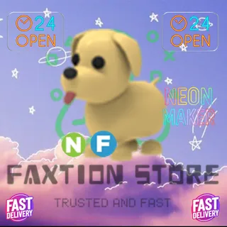 4x NF Dog
