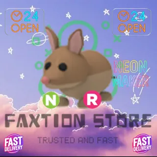 NR Bandicoot