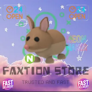 N Bandicoot