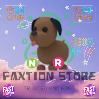 NR Chocolate Labrador