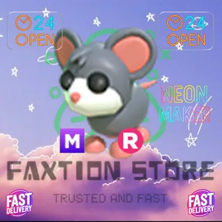 MR  Mouse