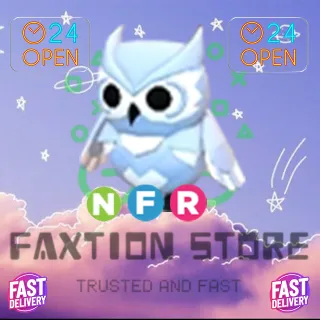 NFR Snow Owl