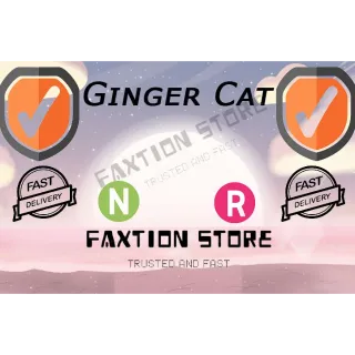 Pet | NR Ginger Cat