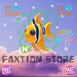 N Angelfish