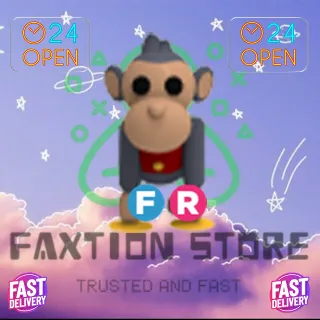FR Toy Monkey