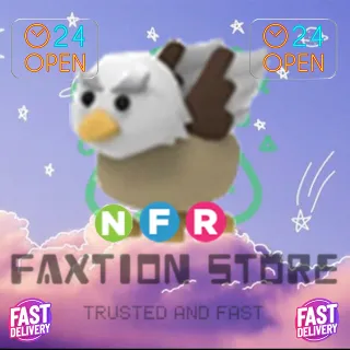 NFR Griffin