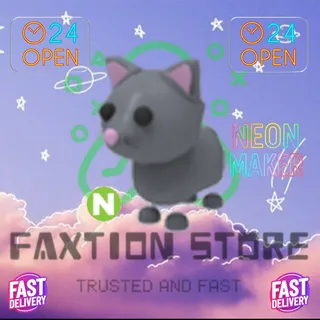 4x N Cat
