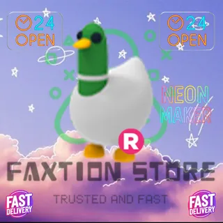 R Silly Duck