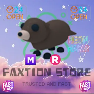 MR Otter