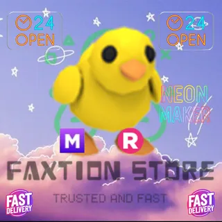MR Chick