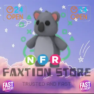 NFR Koala