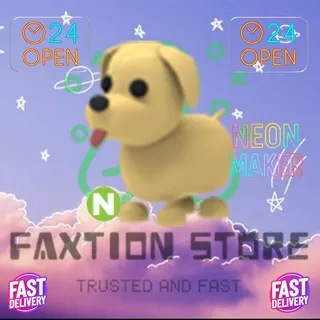 4x N Dog