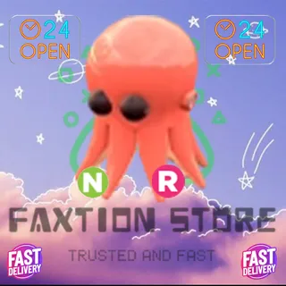 NR Octopus