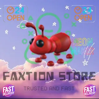 4x Ant