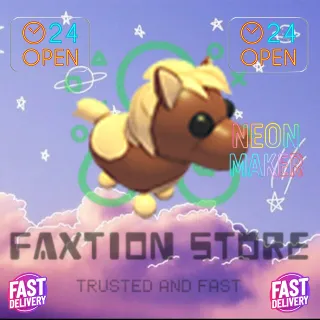 4x Shetland Pony Dark Brown