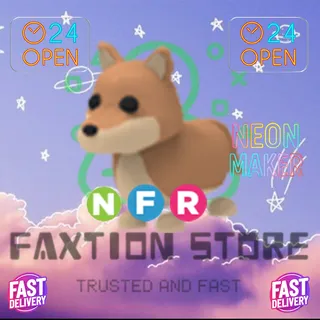 NFR Dingo