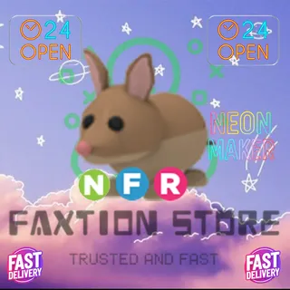 NFR Bandicoot