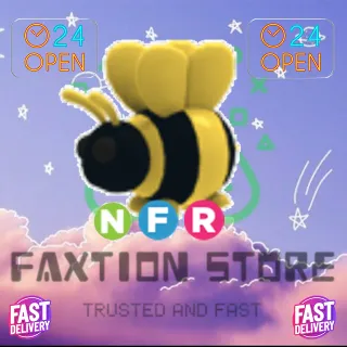 NFR King Bee