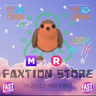 MR RObin