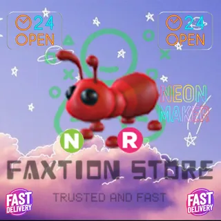 NR Ant