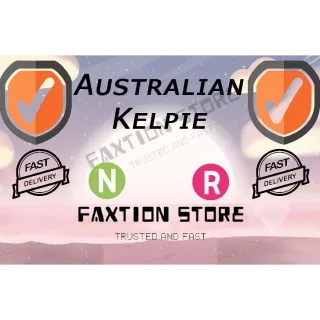 Pet | NR Australian Kelpie