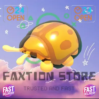 Golden Tortoise Beetle